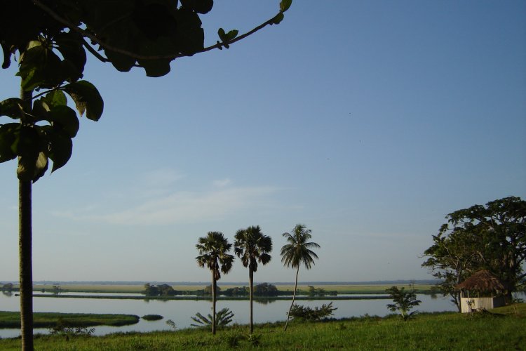 Mai-Ndombe-innsjøen.
